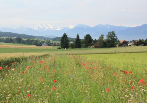 Ausserfamiliäre Hofübergabe