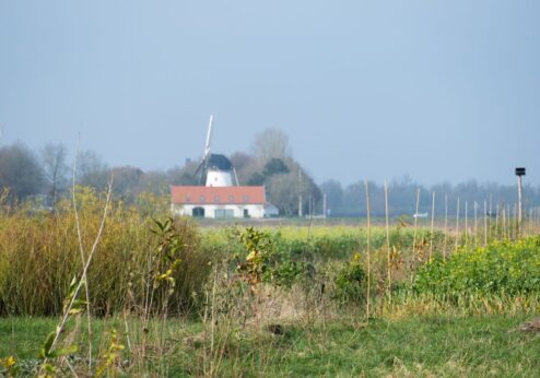 «Die Protestwelle ist kein unerwarteter Ausbruch»