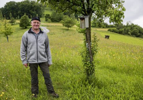 Pionier im Obstgarten