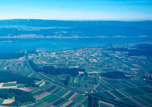 Biodiversität oder mehr Fläche für Autobahnen?