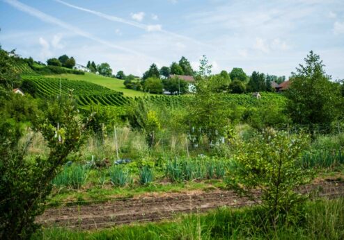 Bodenqualität in der Schweiz: Darauf bauen wir