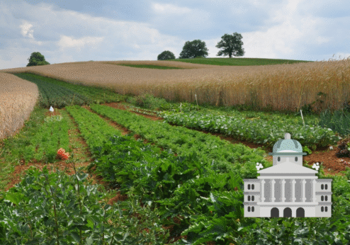 Der Bundes­rat unter­stützt die de­gres­sive Aus­ge­stal­tung der Direkt­zahlungen für die Land­wirtschaft