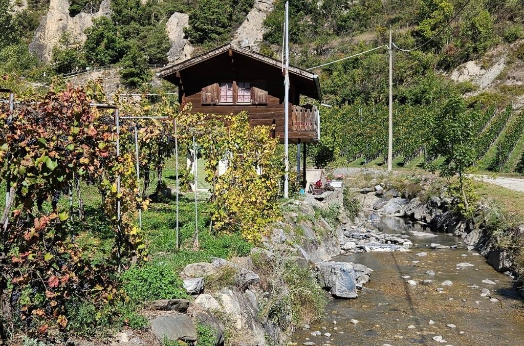 Für die Bewässerung der Weinberge wurde bisher Wasser aus dem Bach La Raspille genutzt. Dieser führt im Sommer jedoch immer unzuverlässiger Wasser - deshalb braucht es im Weinbau eine Wasserersparnis.