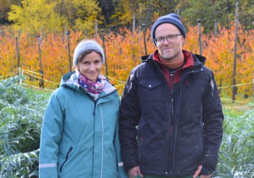 Aus der Praxis eines kleinräumigen Gemüsebetriebs