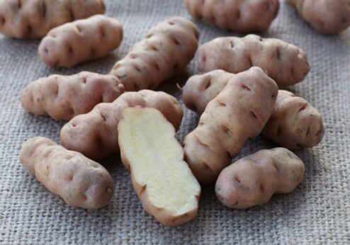 Erhaltung von Kulturpflanzen und Tierrassen