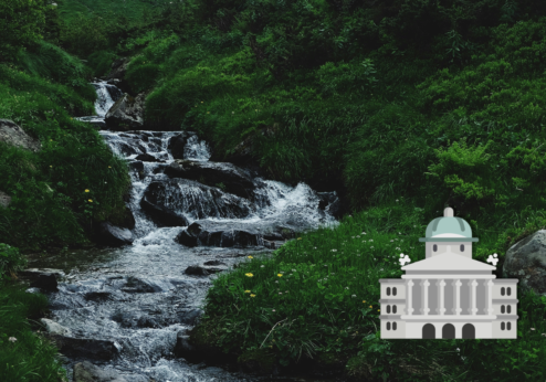 Die Kleinbauern-Vereinigung fordert die Einhaltung des Gewässer&shy;schutzes