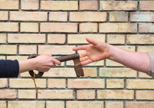 Neue Webinar-Reihe für Hofsuchende lanciert