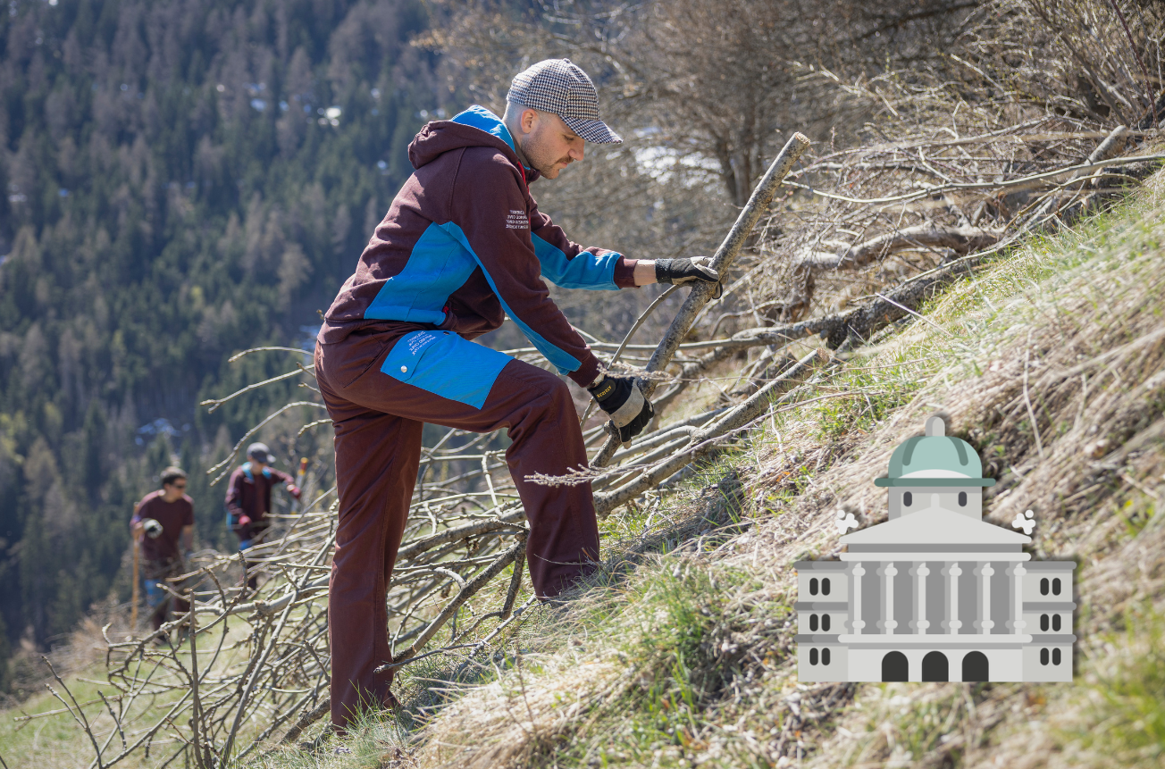 NEIN zur Änderung des Zivildienstgesetzes am 14. Juni