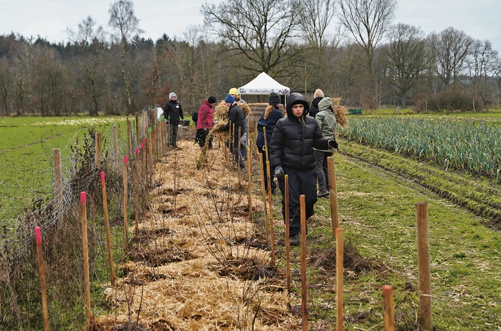 Das Ziel von Heckenretter: Gemeinsam etwas Sinnvolles schaffen und die Förderung einer kleinstrukturierten Agrarlandschaft mit verschiedenen Lebensräumen.