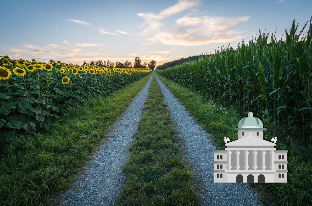 Landwirtschaftsfelder